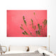 A Pink Flowering Plant Growing Beside A Red Wall Wall Mural