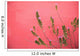 A Pink Flowering Plant Growing Beside A Red Wall Wall Mural