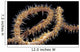 USA, Goby at night on feeding wire coral Wall Mural