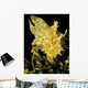 USA, Sargasumfish on floating sargasum weed in Pacific ocean Wall Mural