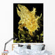 USA, Sargasumfish on floating sargasum weed in Pacific ocean Wall Mural