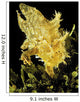 USA, Sargasumfish on floating sargasum weed in Pacific ocean Wall Mural