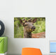 Elk With Dandelion In It's Mouth In Prince Albert National Park Wall Mural