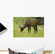 Elk Grazing On Wildflowers In Prince Albert National Park Wall Mural