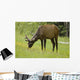 Elk Grazing On Wildflowers In Prince Albert National Park Wall Mural