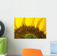 Sunflower, Extreme close-up of center and yellow petals Wall Mural