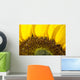 Sunflower, Extreme close-up of center and yellow petals Wall Mural