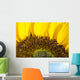 Sunflower, Extreme close-up of center and yellow petals Wall Mural