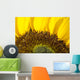 Sunflower, Extreme close-up of center and yellow petals Wall Mural