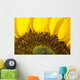 Sunflower, Extreme close-up of center and yellow petals Wall Mural