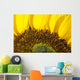 Sunflower, Extreme close-up of center and yellow petals Wall Mural