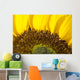 Sunflower, Extreme close-up of center and yellow petals Wall Mural