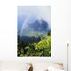 Kalalau Valley viewpoint in Kokee State Park with rainbow Wall Mural
