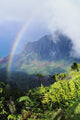 Kalalau Valley viewpoint in Kokee State Park with rainbow Wall Mural