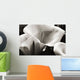 Hawaii, Big Island, Volcano, Close-up of calla lilies Wall Mural