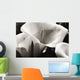 Hawaii, Big Island, Volcano, Close-up of calla lilies Wall Mural