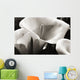 Hawaii, Big Island, Volcano, Close-up of calla lilies Wall Mural