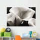 Hawaii, Big Island, Volcano, Close-up of calla lilies Wall Mural