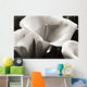 Hawaii, Big Island, Volcano, Close-up of calla lilies Wall Mural