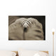 Hawaii, Big Island, Closeup of hapu'u tree fern tip, Selective focus Wall Mural