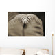 Hawaii, Big Island, Closeup of hapu'u tree fern tip, Selective focus Wall Mural