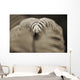 Hawaii, Big Island, Closeup of hapu'u tree fern tip, Selective focus Wall Mural