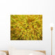 yellow moss on forest floor Wall Mural