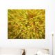 yellow moss on forest floor Wall Mural