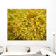 yellow moss on forest floor Wall Mural