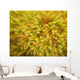 yellow moss on forest floor Wall Mural
