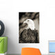Close-up of Bald Eagle sitting in ponderosa pine tree with head turned Wall Mural