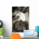 Close-up of Bald Eagle sitting in ponderosa pine tree with head turned Wall Mural