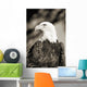 Close-up of Bald Eagle sitting in ponderosa pine tree with head turned Wall Mural