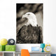 Close-up of Bald Eagle sitting in ponderosa pine tree with head turned Wall Mural