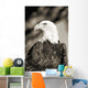 Close-up of Bald Eagle sitting in ponderosa pine tree with head turned Wall Mural