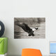 Bald Eagle hunting herring along shoreline Wall Mural