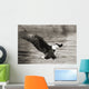 Bald Eagle hunting herring along shoreline Wall Mural