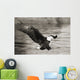 Bald Eagle hunting herring along shoreline Wall Mural