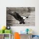 Bald Eagle hunting herring along shoreline Wall Mural