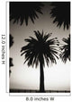 Silhouetted palm tree centered between other palm tree tops at dusk Wall Mural