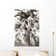 Trees twisted around each other Wall Mural