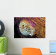 Chambered nautilus Wall Mural