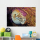 Chambered nautilus Wall Mural