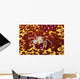 Crab on bright yellow and red background Wall Mural