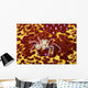 Crab on bright yellow and red background Wall Mural