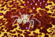 Crab on bright yellow and red background Wall Mural