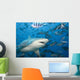Fiji, Bull shark among school of fish Wall Mural
