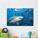 Fiji, Bull shark among school of fish Wall Mural