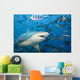 Fiji, Bull shark among school of fish Wall Mural