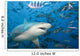 Fiji, Bull shark among school of fish Wall Mural